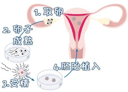 陈医生